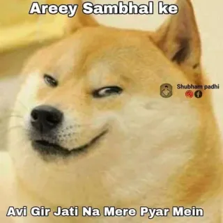 😎 c79f6d94 Areey Sambhal ke
Avi Gir Jati Na Mere Pyar Mein doge, meme, divertido, perro, meme indio, hindi whatsapp sticker