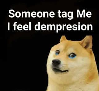 🙋‍♂️ dea6f8c2 Doge Someone tag Me
I feel dempresion doge, meme, triste, gracioso, llorar, perro, animal whatsapp sticker
