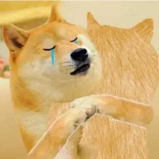😏 e03bbff9 Doge perro, abrazo, llorando, meme, triste, doge whatsapp sticker