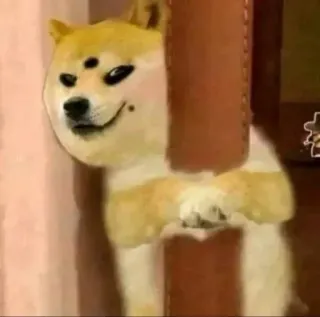 🌟 f3fd55ca Doge perro, meme, gracioso, animal, lindo, doge whatsapp sticker