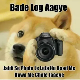 🙂 fd3e8d06 Bade Log Aagye
Jaldi Se Photo Le Leta Hu Baad Me
Hawa Me Chale Jaaege doge, meme, gracioso, perro, fotografía, humor whatsapp sticker