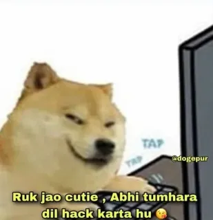 😈 fe5db10b Ruk jao cutie, Abhi tumhara dil hack karta hu Doge, Meme, Hackeo, Perro, Mono whatsapp sticker