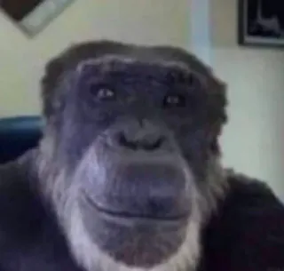 🙂 0f645e57 kera, monyet, hewan, primata, satwa liar whatsapp sticker