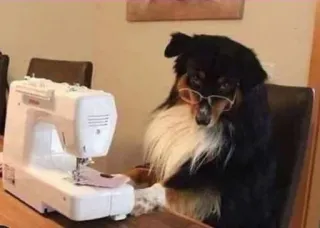 🧐 3dcc3abe anjing, mesin jahit, kacamata, hewan peliharaan, lucu, binatang, kerajinan whatsapp sticker