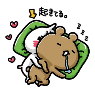 ✳️ 509a9f9d 起きてる。 dormindo, urso, desenho animado, anime, travesseiro, fofo, relaxado whatsapp sticker
