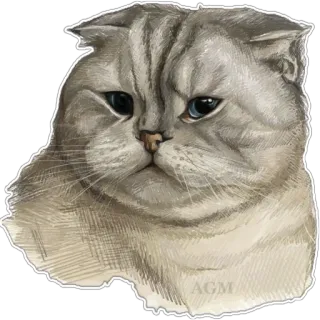 🐈‍⬛ bed41add cat, scottish fold, animal, pet, feline, domestic cat whatsapp sticker