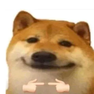 👉 7926218d Doge cachorro, shiba inu, meme, fofo, animal, dedos, tímido telegram sticker