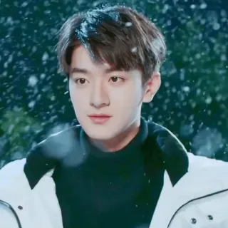 😌 09f7d522 портрет, мужчина, снег, зима, азиат telegram sticker