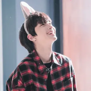 😹 d97df36d 人, 微笑, 格子衬衫, 兔子耳朵 telegram sticker