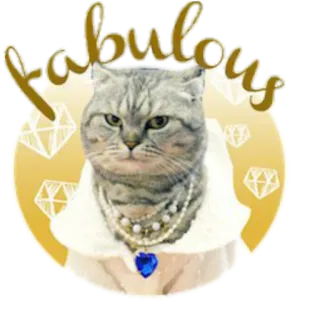 👑 0d918c8a Fabulous 猫, 素晴らしい, ダイヤモンド, ジュエリー, 可愛い, 動物, ステッカー telegram sticker
