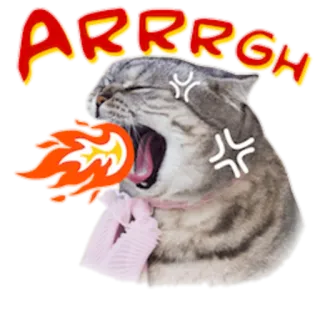 🔥 4956f966 ARRRGH 猫, 怒り, 火, 面白い, ステッカー, 動物, ARRRGH telegram sticker
