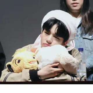 😔 84550c88 человек, мягкая игрушка, плюш, милый, шляпа telegram sticker