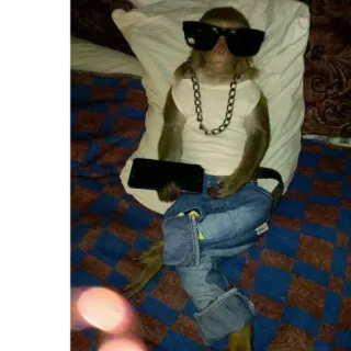 Монкіз🦍 @abethan telegram stickers