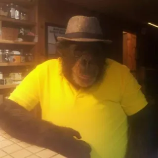 Монкіз🦍 @abethan telegram stickers