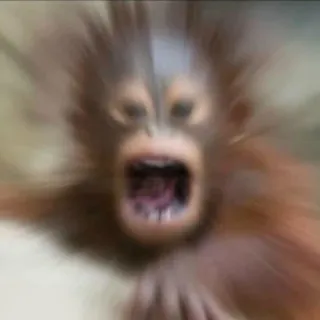 😫 d8e98523 małpa, człekokształtna, zwierzę, orangutan, krzyczący telegram sticker