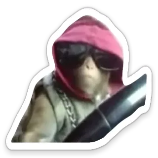😎 7abaacbb обезьяна, толстовка, солнцезащитные очки, вождение, животное, крутой, цепь telegram sticker