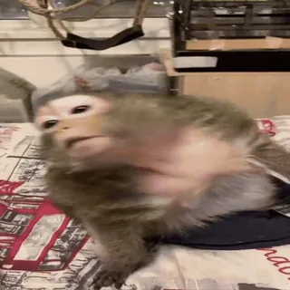 ⁉️ 878697e1 telegram sticker