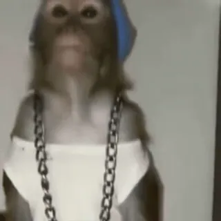 манке брадки 2 от @usebanana telegram stickers