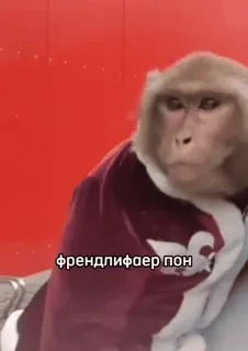 @mak_sya | @mak_sya | @mak_sya :: @fStikBot telegram stickers