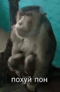 @mak_sya | @mak_sya | @mak_sya :: @fStikBot telegram stickers