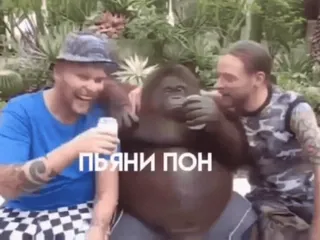 💫 528e35ec ПЪЯНИ ПОН aap, alcohol, drinken, plezier, vrienden whatsapp sticker