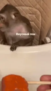 @mak_sya | @mak_sya | @mak_sya :: @fStikBot telegram stickers