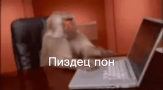 💫 ff6fdae9 Пиздец пон aap, laptop, kantoor, russisch whatsapp sticker