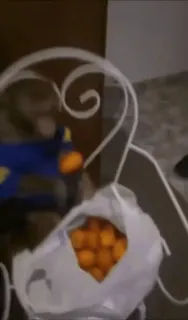 🍊 3f482bd0 telegram sticker