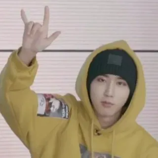 🤟 1a1020c2 người, áo hoodie, mũ, cử chỉ tay, kpop, rock and roll telegram sticker