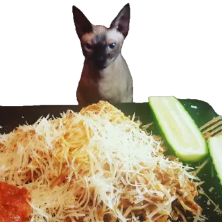 Абу и Соусейсека:3 whatsapp stickers