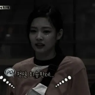 ⛓ 34b08d1a PD 정말 죄송한데... korean, apology, k-pop, person, sad, sorry telegram sticker