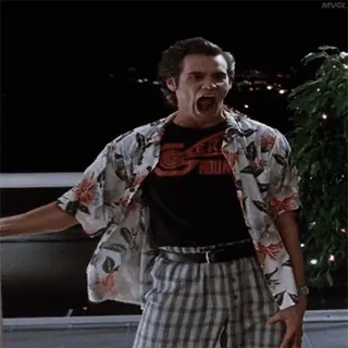 👋 33884099 Ace Ventura Ace Ventura: Pet Detective ace ventura, jim carrey, pet detective, comedy, 90s, movie telegram sticker