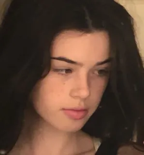 ✨ fa80e934 portrait, woman, girl, brunette, face, person telegram sticker