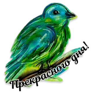 🐦 6802099f Прекрасного дня! pájaro, acuarela, pegatina, saludo, naturaleza, mensaje positivo telegram sticker