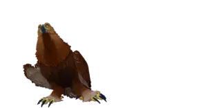 2️⃣ 8c12a003 orzeł, ptak, drapieżnik telegram sticker