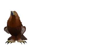 1️⃣ e794dc63 orzeł, ptak, zwierzę telegram sticker