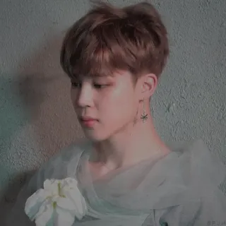 ⚔ 7796e43e Jimin 韩流, 韩国, 歌手, BTS, 偶像, 男性, 肖像 telegram sticker