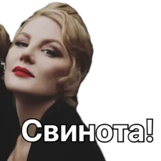 😡 d8e91e7e Свинота! beleidigung, russisch, aufkleber, text whatsapp sticker