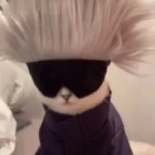 😎 38d4c255 Gojo Satoru Jujutsu Kaisen kat, anime, Gojo Satoru, Jujutsu Kaisen, grappig, cosplay telegram sticker