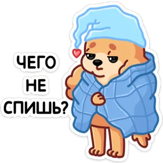 😴 cee5a537 ЧЕГО НЕ СПИШЬ? anjing, mengantuk, topi tidur, selimut, imut telegram sticker