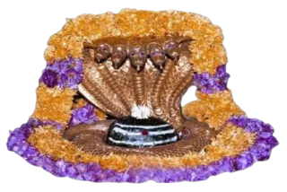 ✨ 770f5c25 ヘビ, 宗教, ヒンドゥー教, コブラ, シヴァ, 偶像, ナーガ telegram sticker