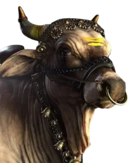 ૐ नमः शिवाय @sound_of_om ✨ whatsapp stickers