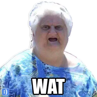 😦 18a4d063 WAT Meme, lustig, Reaktion, verwirrt, alte Frau telegram sticker