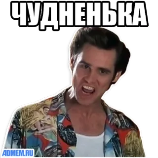 👍 f42cac86 Ace Ventura ЧУДНЕНЬКА lustig, film, carrey, komödie telegram sticker