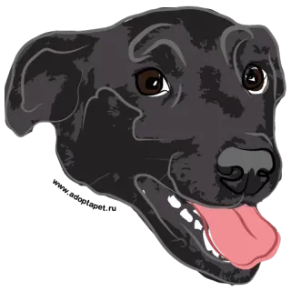 😀 10cc2bb9 狗, 黑色拉布拉多, 宠物, 动物, 拉布拉多, 犬种 telegram sticker