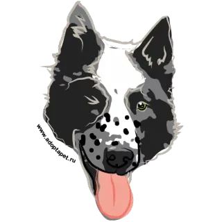 😉 2523104e 狗, 宠物, 动物, 黑白, 肖像, 贴纸 telegram sticker