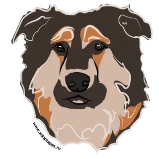🙁 5bd3b5a9 狗, 动物, 宠物, 肖像, 可爱, 家养 telegram sticker