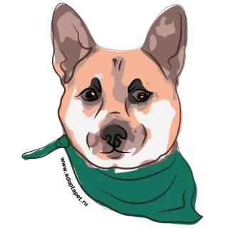 😟 86ef0e2a 狗, 柴犬, 动物, 宠物, 头, 头巾 telegram sticker