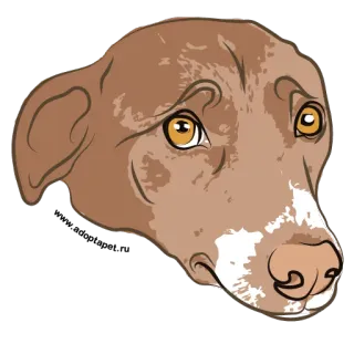 Adopt a Pet / vol.2 telegram stickers