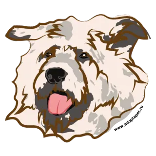 😀 e995180c 狗, 宠物, 动物, 可爱, 蓬松, 家畜, 哺乳动物 telegram sticker